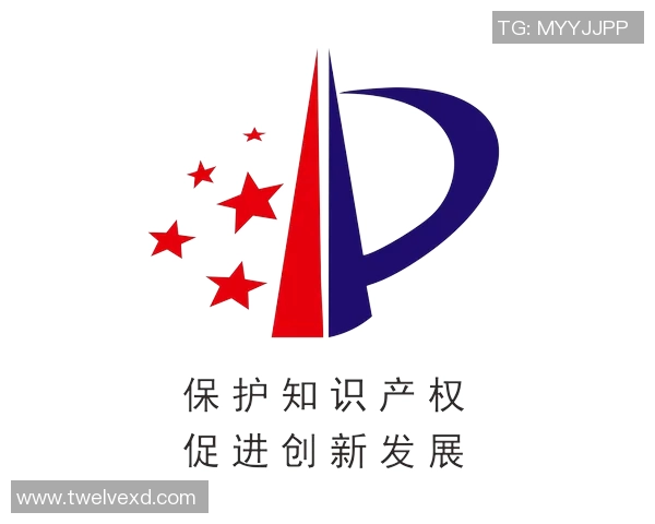 知识产权保护与创新发展：面向未来的法律框架与实践探索